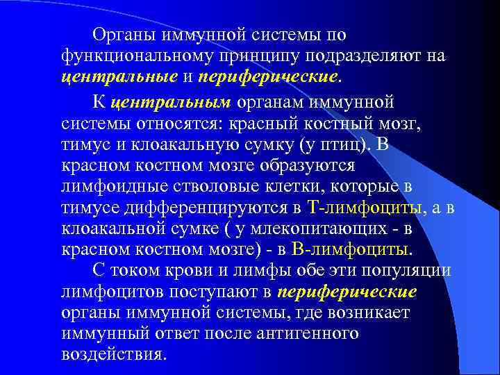 Органы иммунной системы по функциональному принципу подразделяют на центральные и периферические. К центральным органам