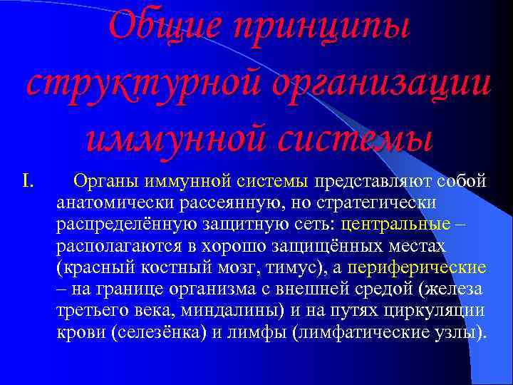 Общие принципы структурной организации иммунной системы I. Органы иммунной системы представляют собой анатомически рассеянную,