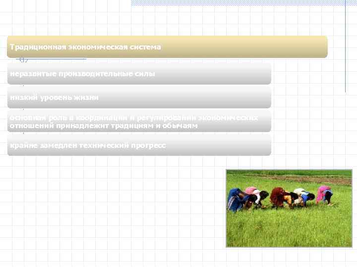 Традиционная экономическая система неразвитые производительные силы низкий уровень жизни основная роль в координации и