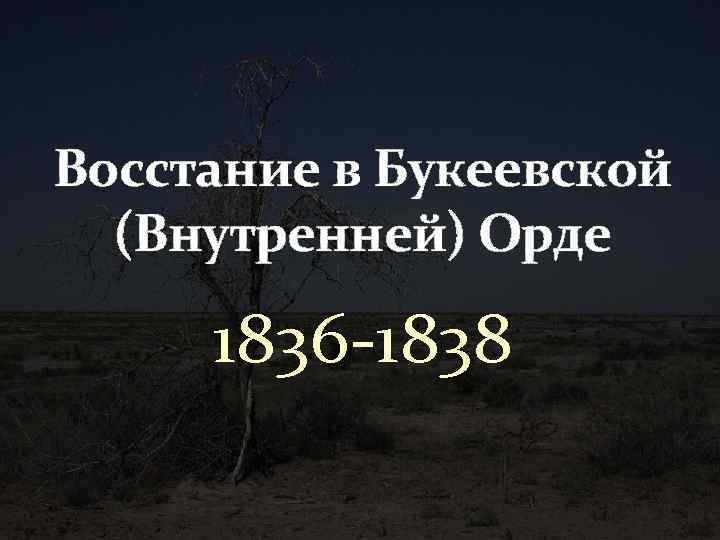 Восстание в Букеевской (Внутренней) Орде 1836 1838 