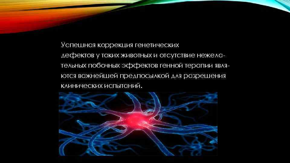 Успешная коррекция генетических дефектов у таких животных и отсутствие нежелательных побочных эффектов генной терапии