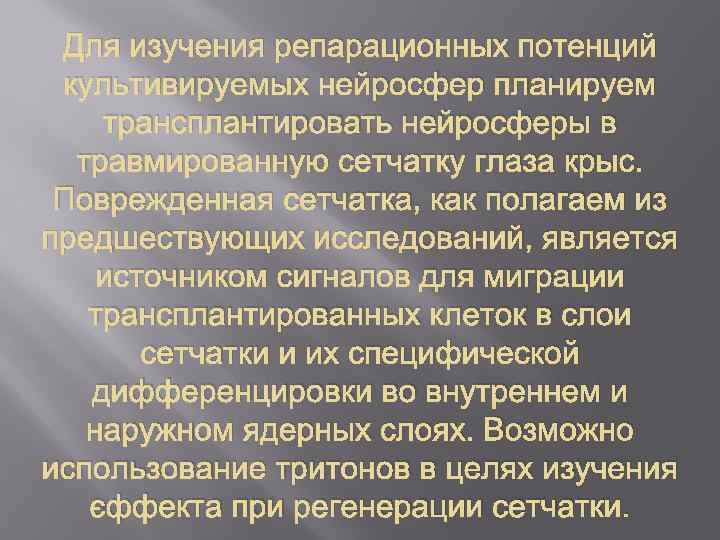 Для изучения репарационных потенций культивируемых нейросфер планируем трансплантировать нейросферы в травмированную сетчатку глаза крыс.