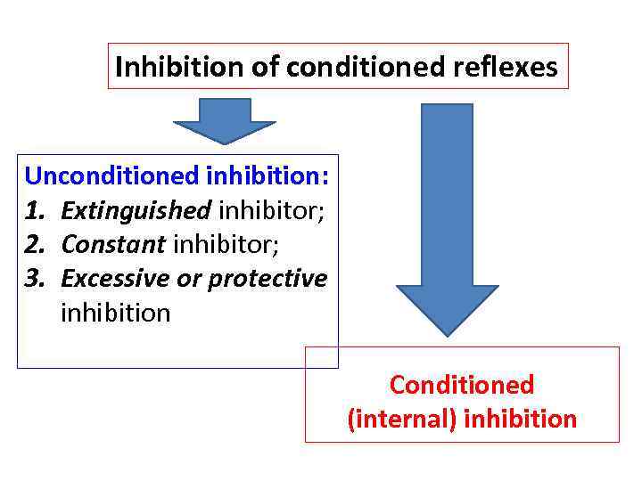 Inhibition of conditioned reflexes Unconditioned inhibition: 1. Extinguished inhibitor; 2. Constant inhibitor; 3. Excessive