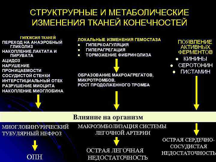 СТРУКТРУРНЫЕ И МЕТАБОЛИЧЕСКИЕ ИЗМЕНЕНИЯ ТКАНЕЙ КОНЕЧНОСТЕЙ ГИПОКСИЯ ТКАНЕЙ ПЕРЕХОД НА АНАЭРОБНЫЙ ГЛИКОЛИЗ НАКОПЛЕНИЕ ЛАКТАТА