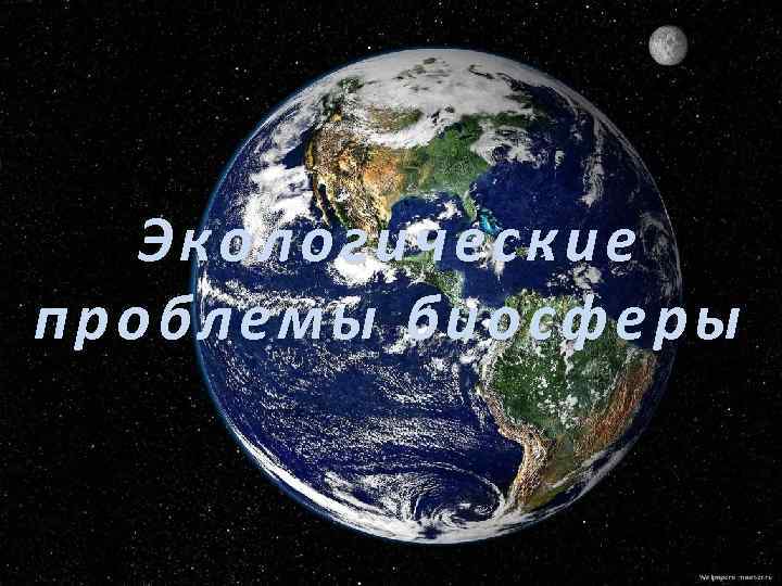 Э кологич еские кологические про блемы биосферы проблем ы 