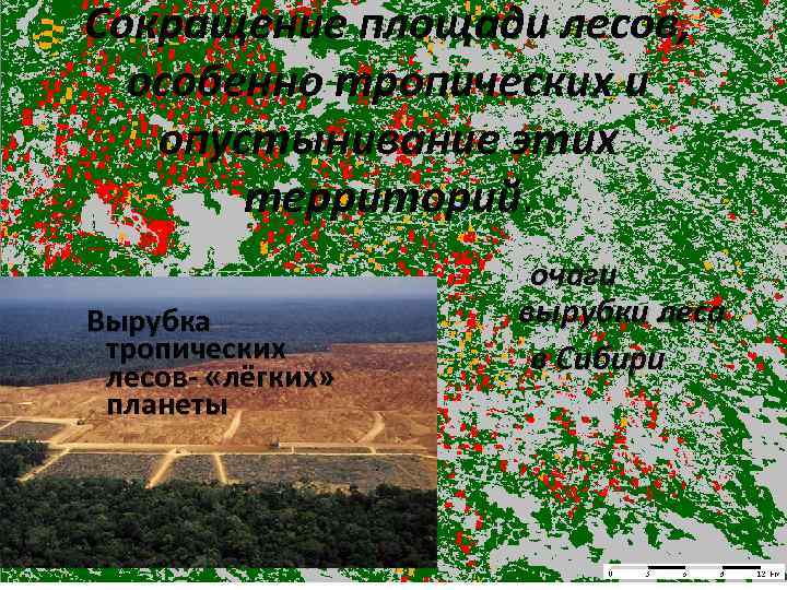Сокращение площади лесов, особенно тропических и опустынивание этих территорий. Вырубка тропических лесов- «лёгких» планеты