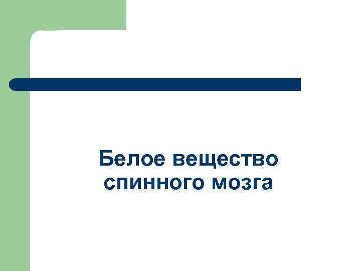 Белое вещество спинного мозга 