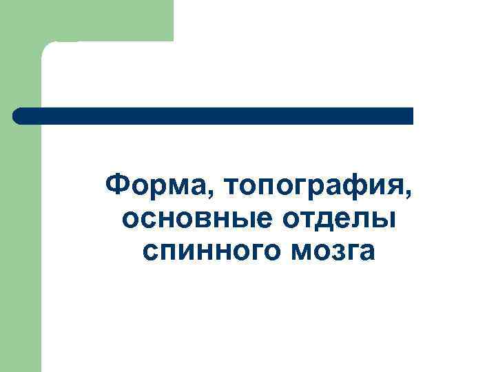 Форма, топография, основные отделы спинного мозга 