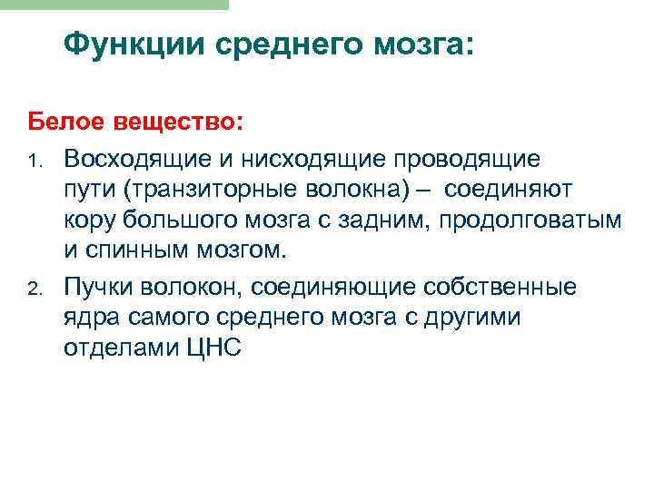 Функции среднего мозга: Белое вещество: 1. Восходящие и нисходящие проводящие пути (транзиторные волокна) –