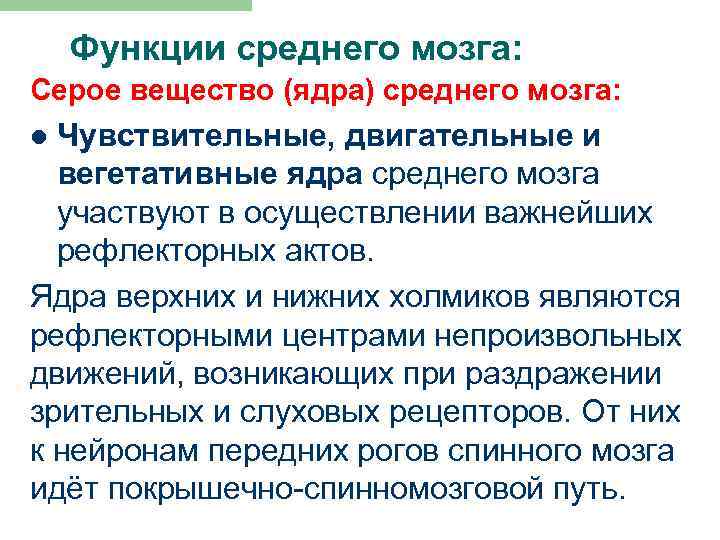 Функции среднего мозга: Серое вещество (ядра) среднего мозга: Чувствительные, двигательные и вегетативные ядра среднего