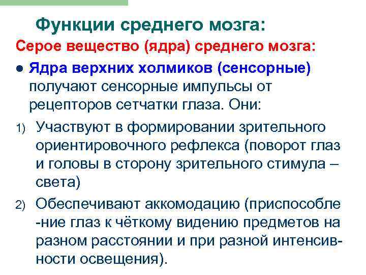 Функции среднего мозга: Серое вещество (ядра) среднего мозга: l Ядра верхних холмиков (сенсорные) получают