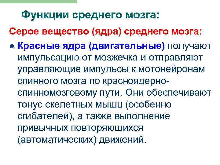 Функции среднего мозга: Серое вещество (ядра) среднего мозга: l Красные ядра (двигательные) получают импульсацию