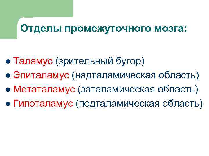 Отделы промежуточного мозга: l Таламус (зрительный бугор) l Эпиталамус (надталамическая область) l Метаталамус (заталамическая