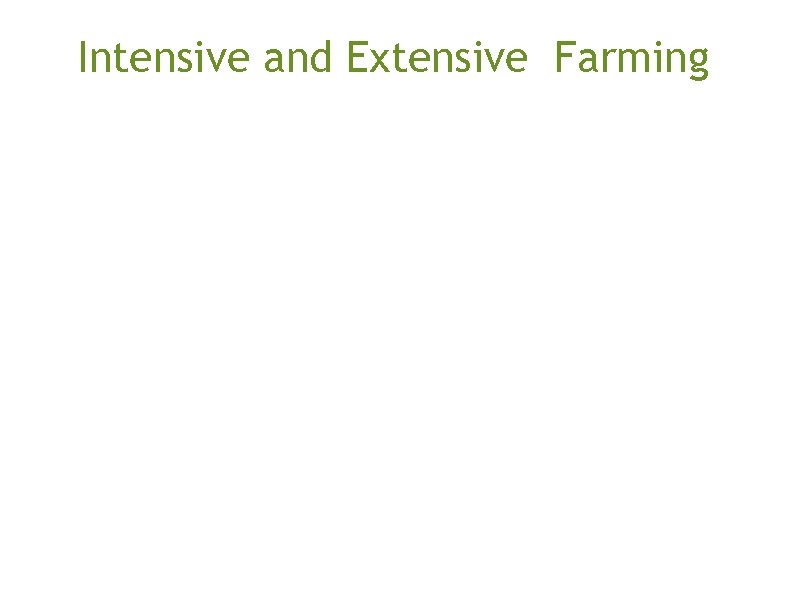 Intensive and Extensive Farming 