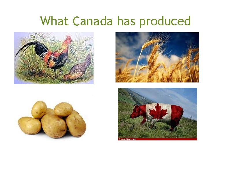 What Canada has produced 