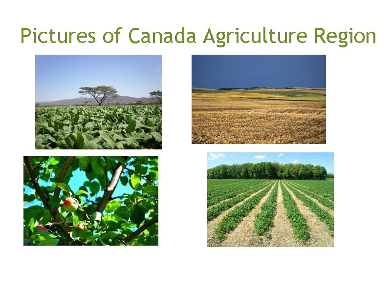  Pictures of Canada Agriculture Region 
