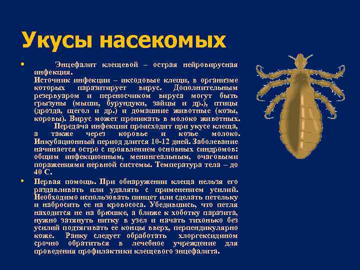 Укусы насекомых • • Энцефалит клещевой – острая нейровирусная инфекция. Источник инфекции – иксодовые