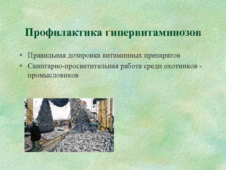 Профилактика гипервитаминозов § Правильная дозировка витаминных препаратов § Санитарно-просветительная работа среди охотников промысловиков 