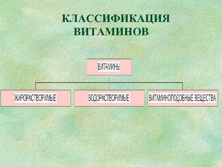 КЛАССИФИКАЦИЯ ВИТАМИНОВ 