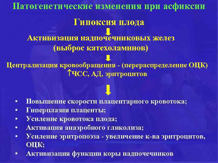 Патогенетические изменения при асфиксии Гипоксия плода Активизация надпочечниковых желез (выброс катехоламинов) Централизация кровообращения -