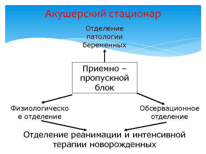 Акушерский стационар Отделение патологии беременных Приемно – пропускной блок Физиологическо е отделение Обсервационное отделение