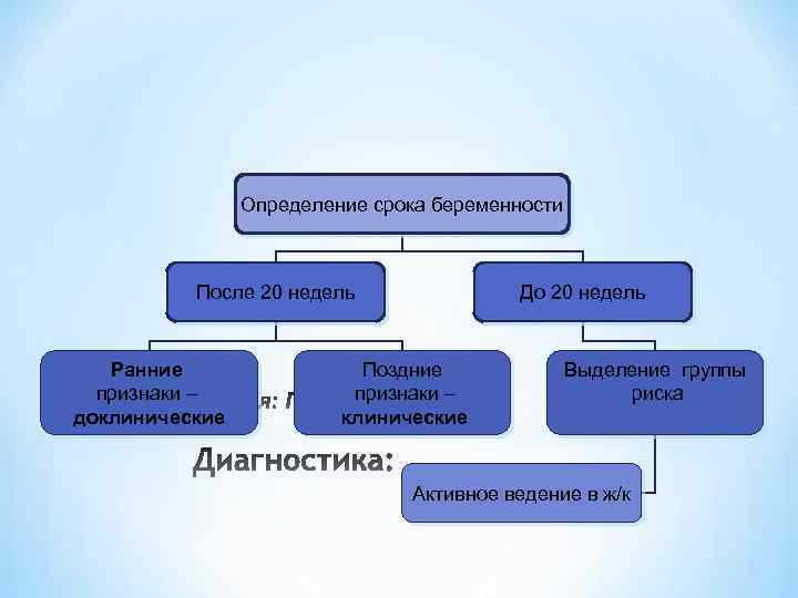 Определение срока беременности После 20 недель Ранние признаки – * доклинические До 20 недель
