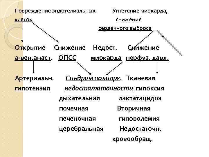 Повреждение эндотелиальных клеток Угнетение миокарда, снижение сердечного выброса Открытие Снижение Недост. Снижение а-вен. анаст.