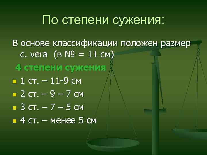 По степени сужения: В основе классификации положен размер c. vera (в № = 11