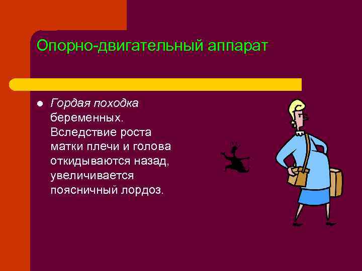 Опорно-двигательный аппарат l Гордая походка беременных. Вследствие роста матки плечи и голова откидываются назад,