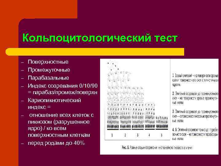 Кольпоцитологический тест – – – – Поверхностные Промежуточные Парабазальные Индекс созревания 0/10/90 = парабаз/промеж/поверхн