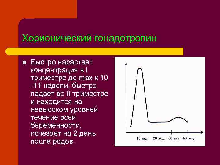 Хорионический гонадотропин l Быстро нарастает концентрация в I триместре до max к 10 -11