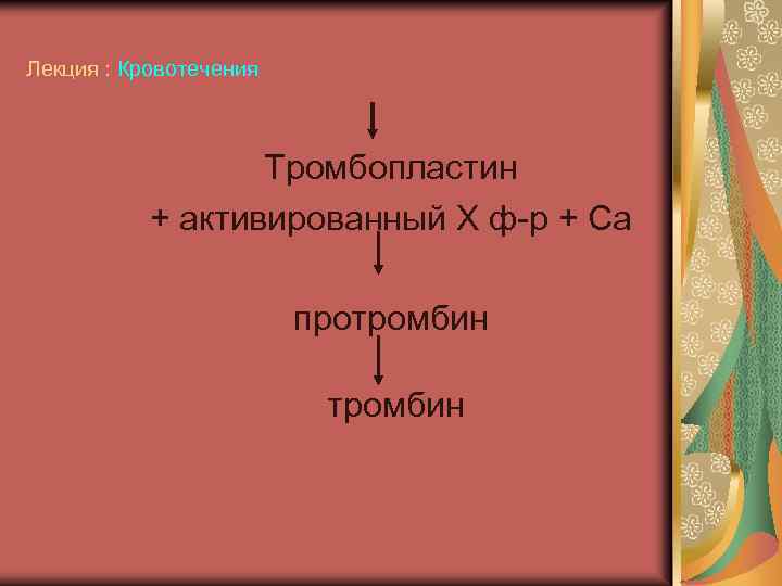 Лекция : Кровотечения Тромбопластин + активированный X ф-р + Са протромбин 