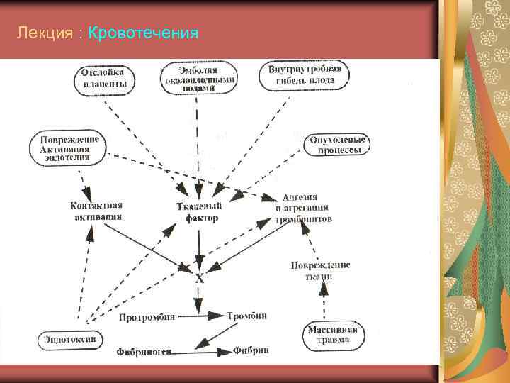 Лекция : Кровотечения 