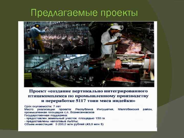 Предлагаемые проекты 