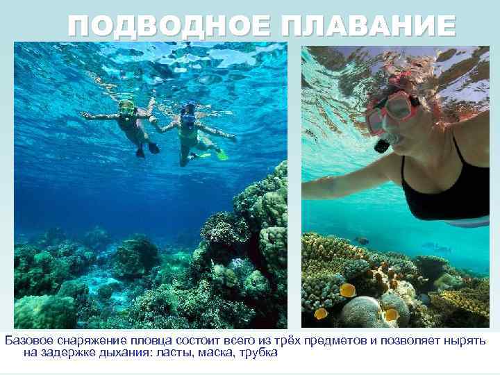 ПОДВОДНОЕ ПЛАВАНИЕ Базовое снаряжение пловца состоит всего из трёх предметов и позволяет нырять на