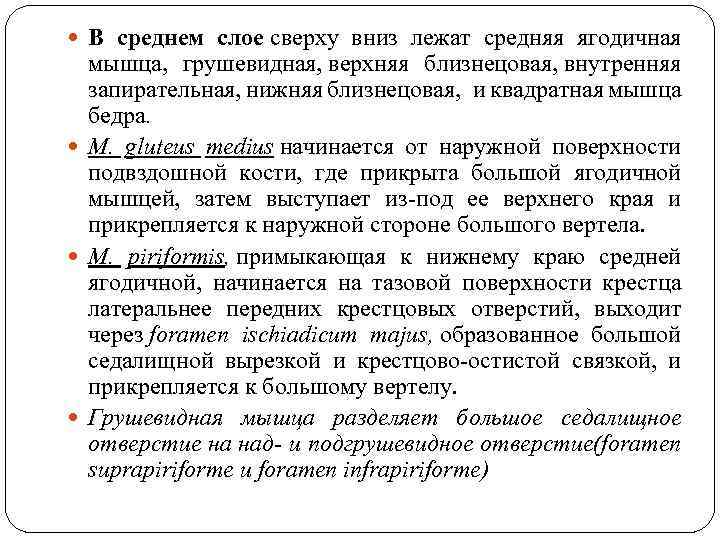  В среднем слое сверху вниз лежат средняя ягодичная мышца, грушeвиднaя, верхняя близнецовая, внутренняя