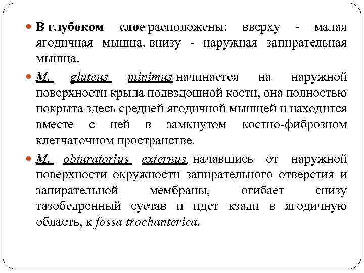  В глубоком слое расположены: вверху - малая ягодичная мышца, внизу - наружная запирательная