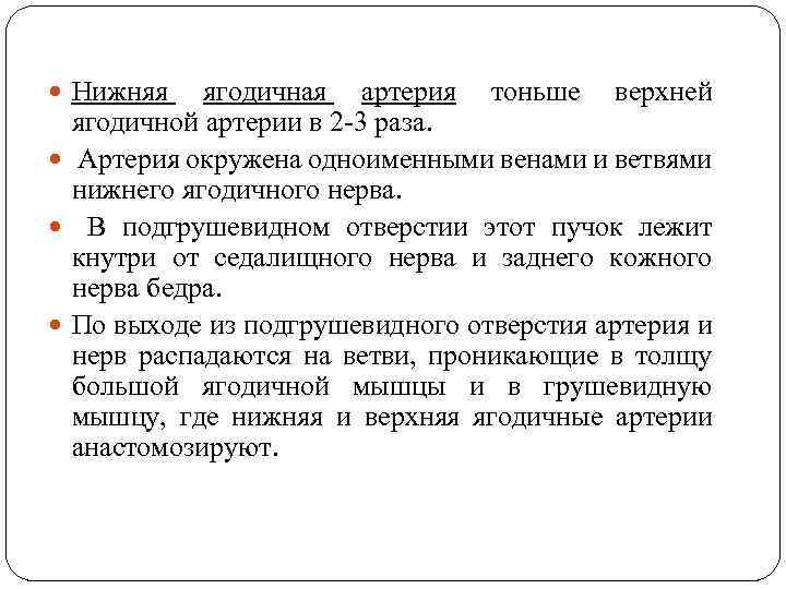  Нижняя ягодичная артерия тоньше верхней ягодичной артерии в 2 -3 раза. Артерия окружена