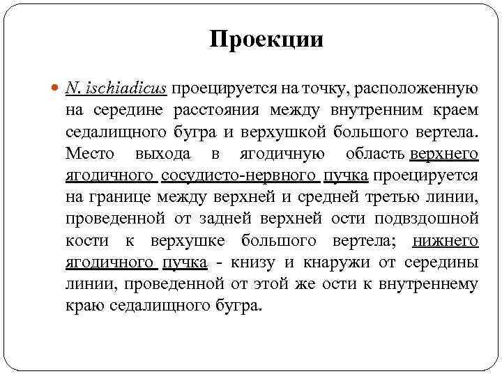 Проекции N. ischiadicus проецируется на точку, расположенную на середине расстояния между внутренним краем седалищного