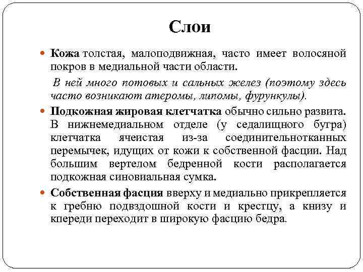 Слои Кожа толстая, малоподвижная, часто имеет волосяной покров в медиальной части области. В ней