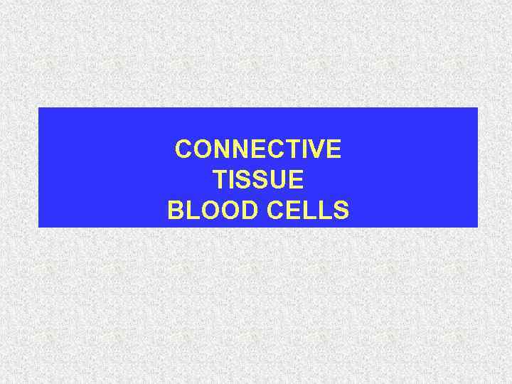 CONNECTIVE TISSUE BLOOD CELLS 