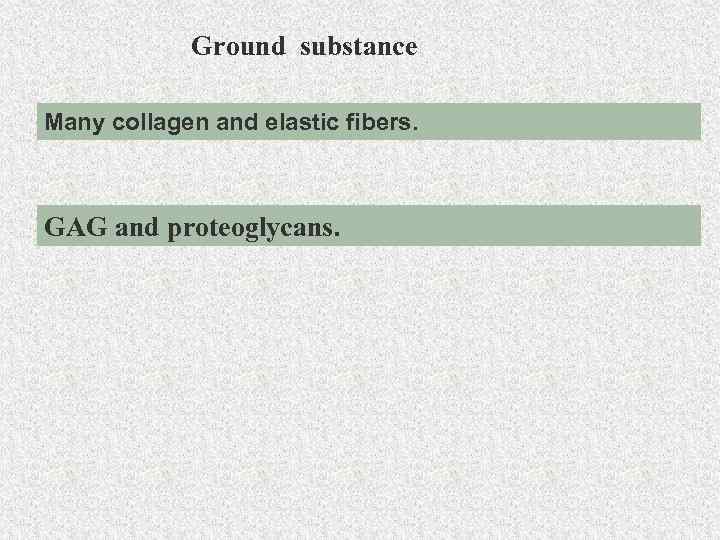 Ground substance Many collagen and elastic fibers. GAG and proteoglycans. 