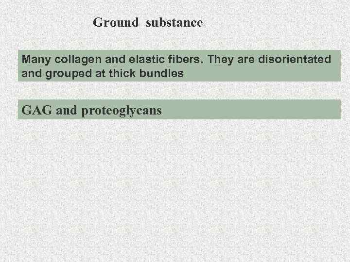 Ground substance Many collagen and elastic fibers. They are disorientated and grouped at thick