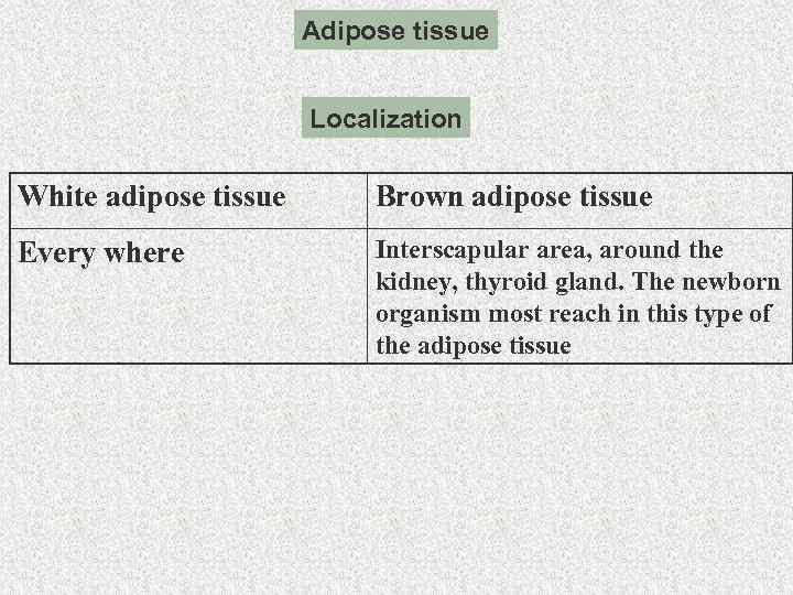 Adipose tissue Localization White adipose tissue Brown adipose tissue Every where Interscapular area, around