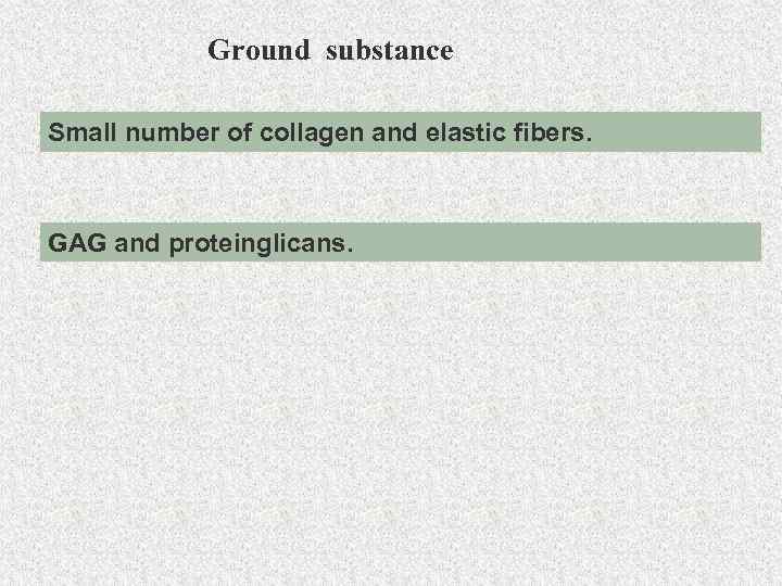 Ground substance Small number of collagen and elastic fibers. GAG and proteinglicans. 