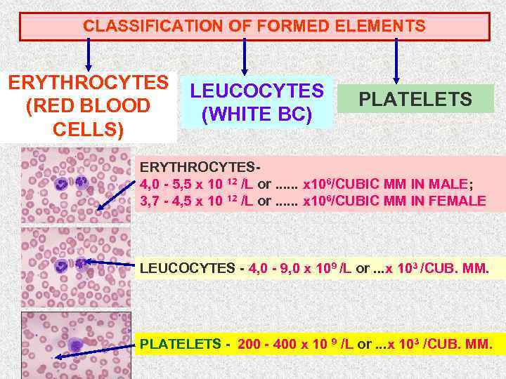 CLASSIFICATION OF FORMED ELEMENTS ERYTHROCYTES (RED BLOOD CELLS) LEUCOCYTES (WHITE BC) PLATELETS ERYTHROCYTES 4,