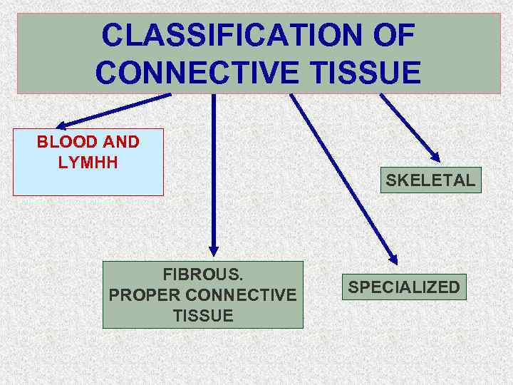 CLASSIFICATION OF CONNECTIVE TISSUE BLOOD AND LYMHH FIBROUS. PROPER CONNECTIVE TISSUE SKELETAL SPECIALIZED 