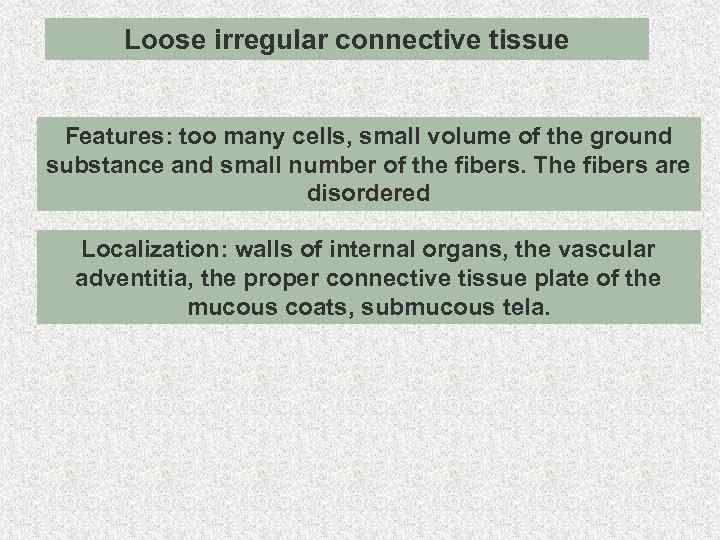 Loose irregular connective tissue Features: too many cells, small volume of the ground substance