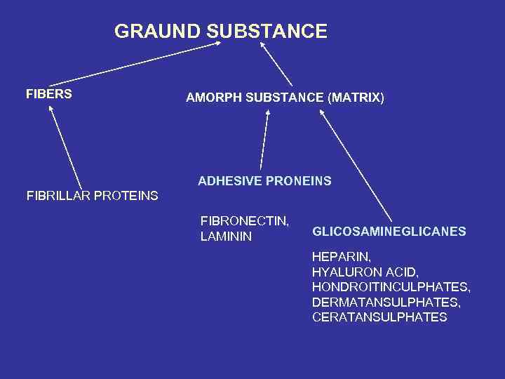GRAUND SUBSTANCE FIBERS AMORPH SUBSTANCE (MATRIX) ADHESIVE PRONEINS FIBRILLAR PROTEINS FIBRONECTIN, LAMININ GLICOSAMINEGLICANES HEPARIN,