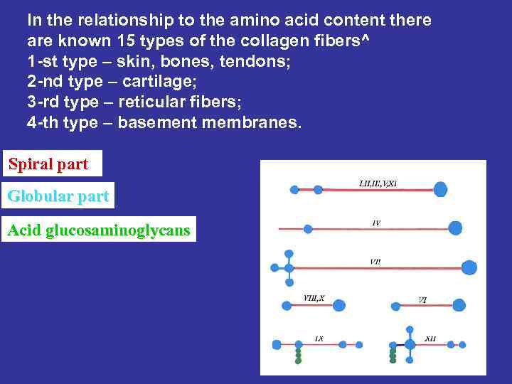 In the relationship to the amino acid content there are known 15 types of